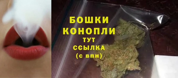 сатива Инта