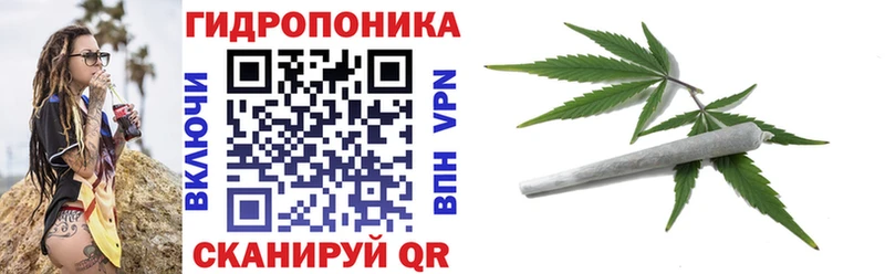 Шишки марихуана семена  Лаишево 